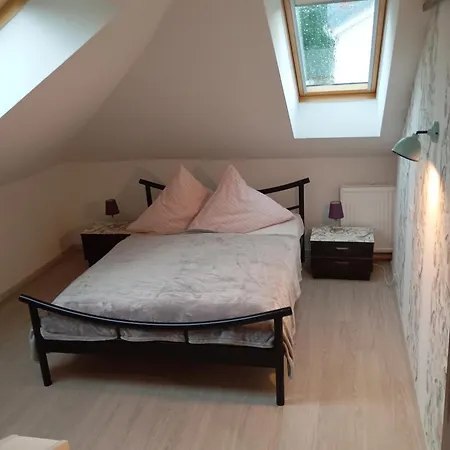 Sylvias Nr7 Dg *