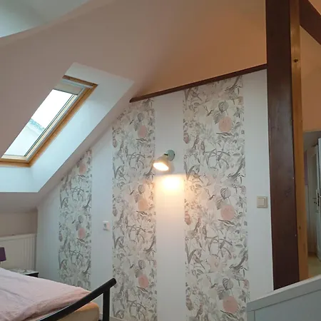 Sylvias Nr7 Dg Görlitz